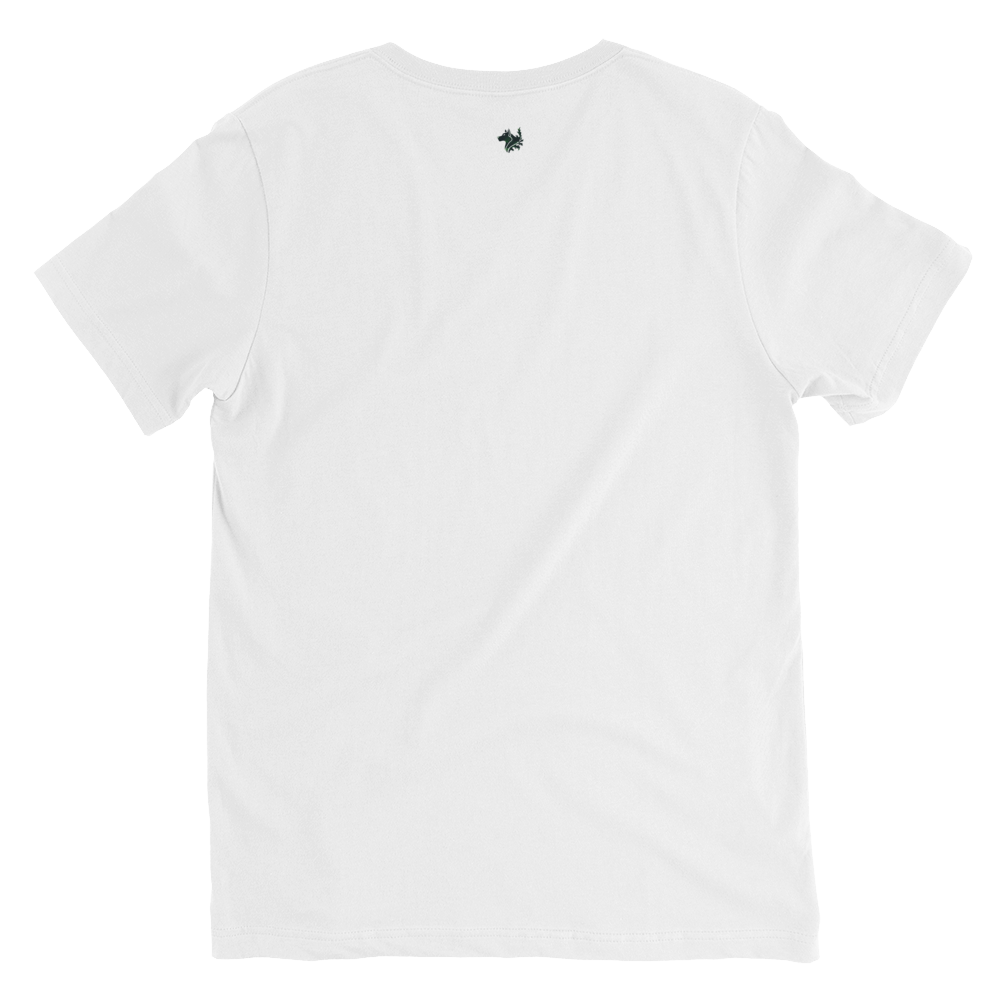 White Men's Short Sleeve V-Neck T-Shirt